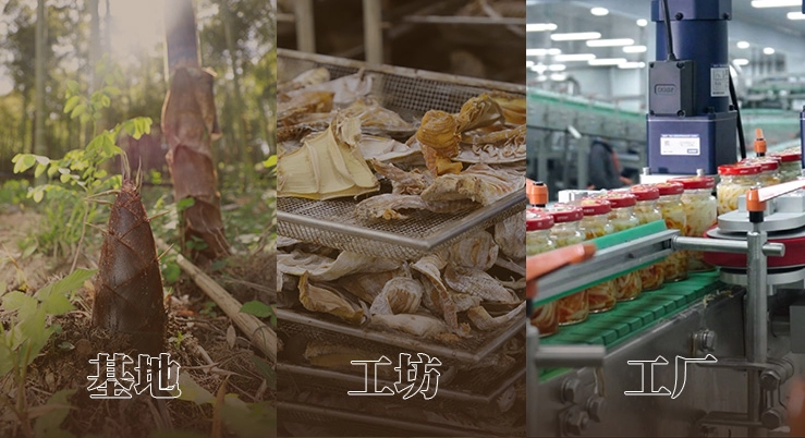 The model of base, workshop, and factory leads to shared prosperity.