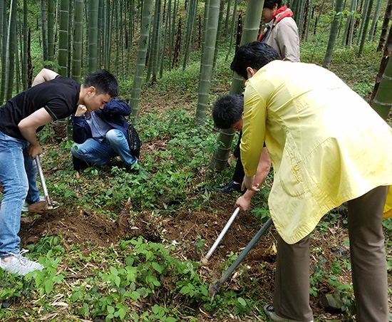 Tertiary industry: Tourism