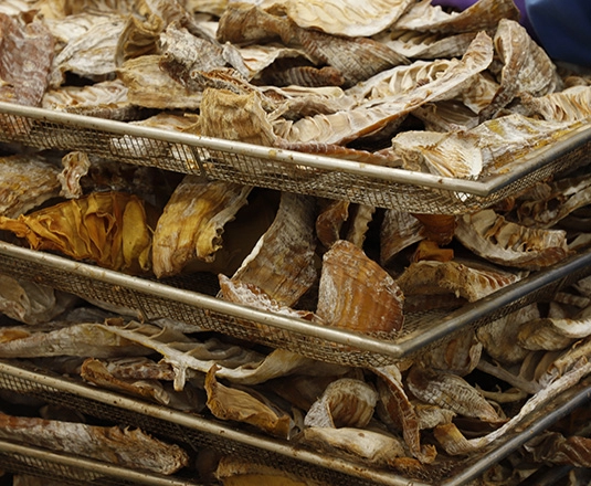 Secondary industry: processing